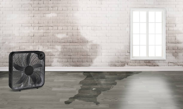 Best Residential water damage restoration  in Hugoton, KS