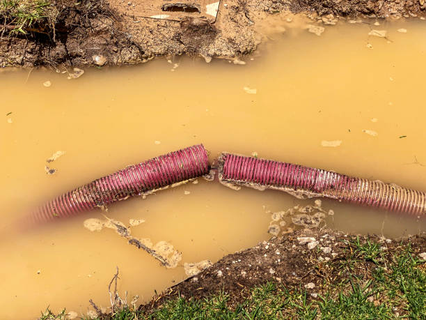 Best Sewage cleanup and water damage restoration  in Hugoton, KS